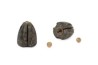 Removable Flying Back Weights 10g (5 per pack)