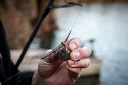 Edges Downrigger Back Weights 21g (3/4oz) x 3