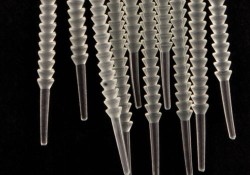 Edges PVA Strips