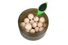 Edges Hookbait pots full x 6