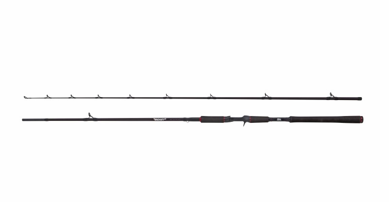 BEAST Pike 802HP 30-100g Casting