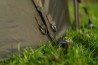 Frontier Camo Mozzy Mesh