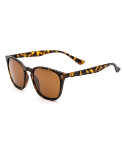 Shoreditch - Matt Toroise Shell/Brown Lens