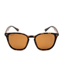 Shoreditch - Matt Toroise Shell/Brown Lens