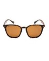 Shoreditch - Matt Toroise Shell/Brown Lens