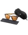 Shoreditch - Matt Toroise Shell/Brown Lens