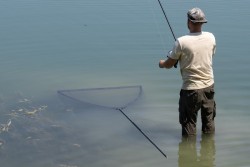 Spring Bow Net 6' 42in