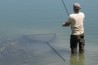 Spring Bow Net 42 inch - deep version