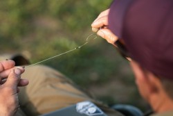 Loop Rigs Klor 2 50lb