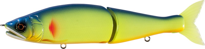 JOINTED CLAW 178 SS 11 BLUE BACK LIME