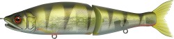 JOINTED CLAW 178 SS ULT02 EUROPEAN PERCH