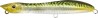 PATCHINKO 125 MACKEREL (UL048-713)