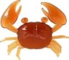 SUPER LITTLE CRAB PUMPKIN - 2,54 cm (4/pk) 353