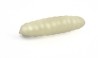 DAPPY WAXWORM 966 NATURAL - 24mm (8/pk)