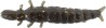 DAPPY CADDISFLY L 942 BROWN GOLD GLITTER - 38 mm (5/pck) rempl 802