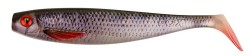 Tiger Trout 23cm
