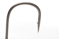 Jig Heads X 20g Size 5 0
