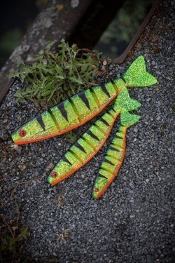 Fox Rage Pro Shad Jointed Super Natural Roach 14cm