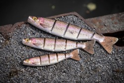 Fox Rage Pro Shad Jointed UV Perch 23cm