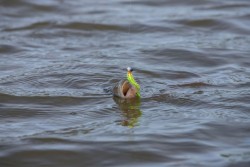 Micro Jig Heads Size 2 3g 5pcs