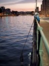 Fox Rage Fighter Landing Nets Fox Rage Short Street Net