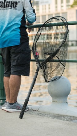 Street Fighter Short Street Net