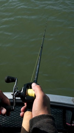 Versatile Light Casting 210cm/6ft 11 - 7-28g