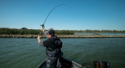 Versatile Light Casting 210cm/6ft 11 - 7-28g