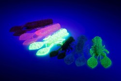 Creature Crayfish Floating 7cm 2,75in UV Candy Floss 8pcs