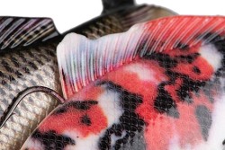 Replicant Carp Super Natural Koi Carp 18cm