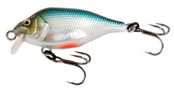 Funk Bug 50mm DR UV Real Shiner