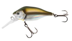 Funk Bug 40mm SR - UV Cool Herring