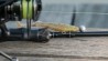Light Shad 220cm 5-20g