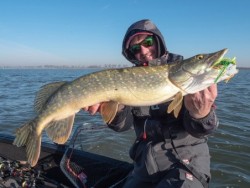 Fox Rage RS Triple-Layer Salopettes - S