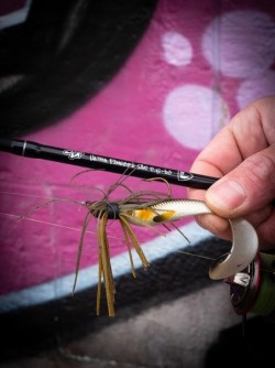 Street Fighter Ultra Finesse 0,5-6g 180cm