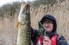 Replicant Jointed Tench 14cm/5,5"" Super Natural Golden Tench x 1pcs