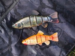 Replicant Jointed Tench 14cm/5,5"" Super Natural Golden Tench x 1pcs