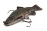 Replicant Jointed Tench 18cm/7"" Super Natural Tench x 1pcs