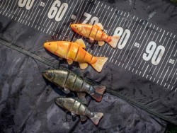 Replicant Jointed Tench 18cm/7"" Super Natural Tench x 1pcs