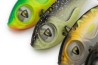 Big Eye Blade 17g UV Pike