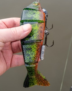 Fox Rage Strike Point Hitcher Rattle Large