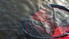 Fox Rage Speed Flow Large