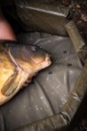 Carpmaster Welded Mat