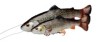 4D LT PT TROUT 20CM 102G SS CHUB