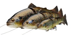 4D LT TROUT 25CM 180G SS G...