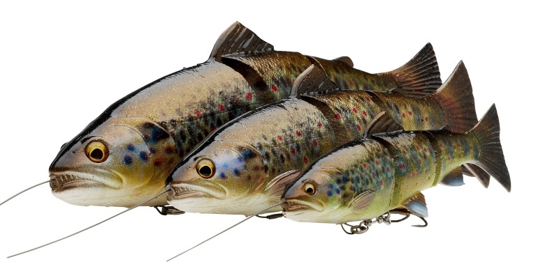 4D LT TROUT 25CM 180G SS G ALBINO