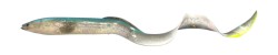 Real Eel 30cm/56g Green Lamprey