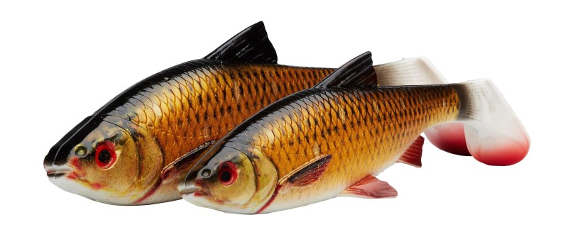 3D LB RIVER ROACH 18CM 70G GS 10PCS