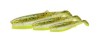 CANNIBAL SHAD B 8CM 5G MOTOR O UV 45PCS
