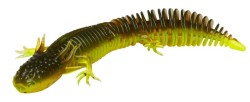 NED SALAMANDER 7.5CM 3G F...